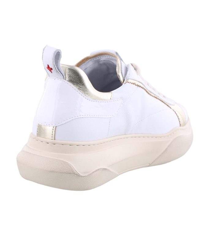 GIO+ GIADA63P wit