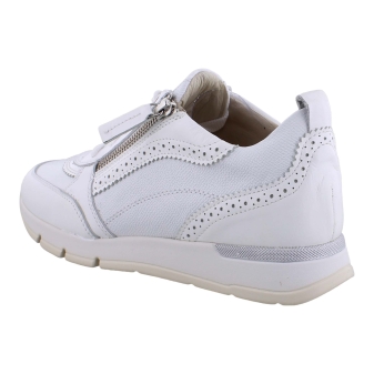 DL Sport 6523 wit