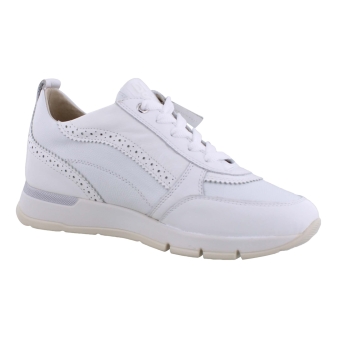 DL Sport 6523 wit