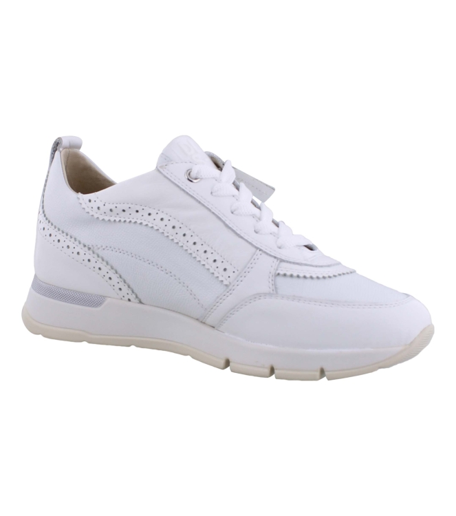 DL Sport 6523 wit