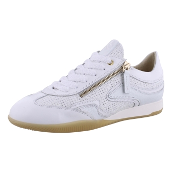 DL Sport 6571 wit