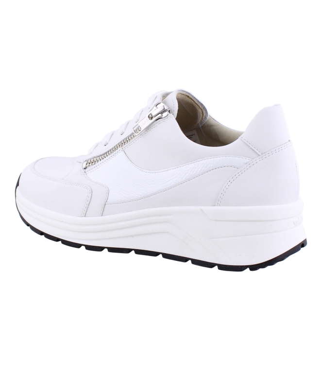 Solidus 46023 Holly wit
