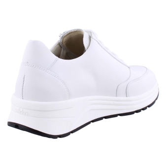 Solidus 46023 Holly wit