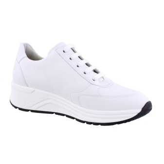 Solidus 46023 Holly wit