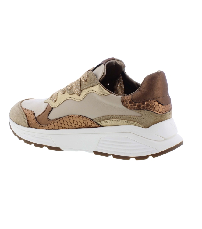 Xsensible 33011.3 Rainbow beige