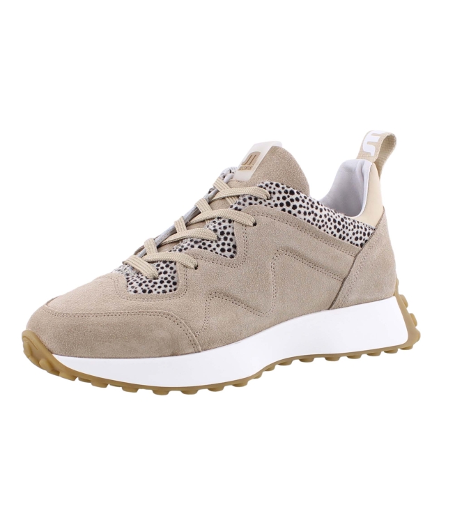 Maruti 66.1642.01 beige
