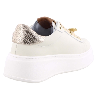 GIO+ PIA140A beige
