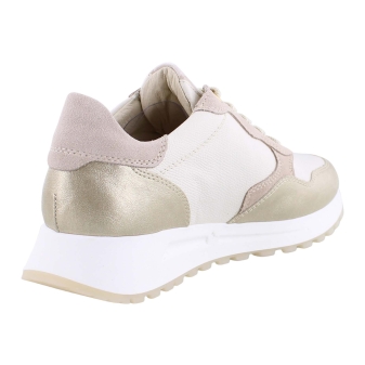 DL Sport 6527 beige