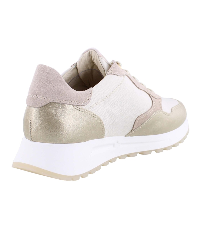 DL Sport 6527 beige