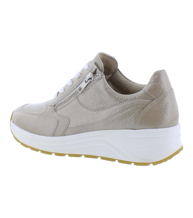 Solidus 46023 Holly beige