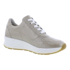 Solidus 46023 Holly beige