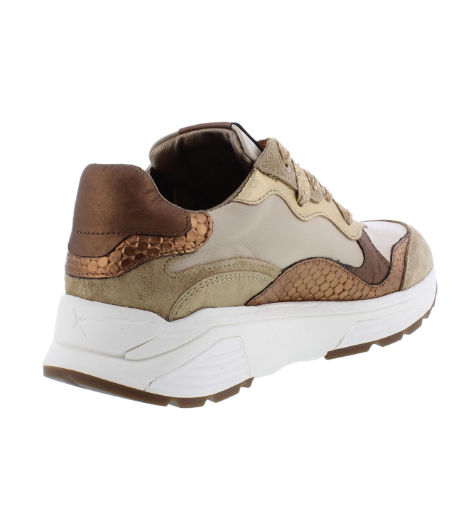 Xsensible 33011.3 Rainbow beige
