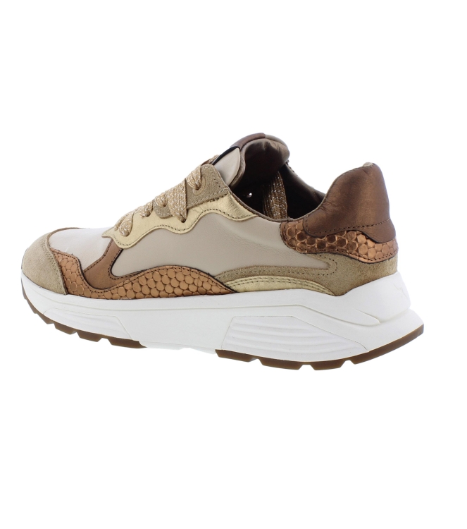 Xsensible 33011.3 Rainbow beige