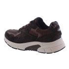 Gabor 0306.02.003 bruin