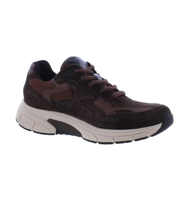 Gabor 0306.02.003 bruin