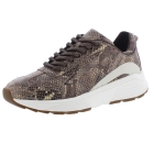 Xsensible 33013.4 Bailey bruin