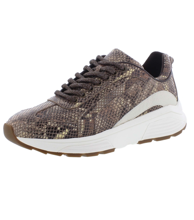 Xsensible 33013.4 Bailey bruin
