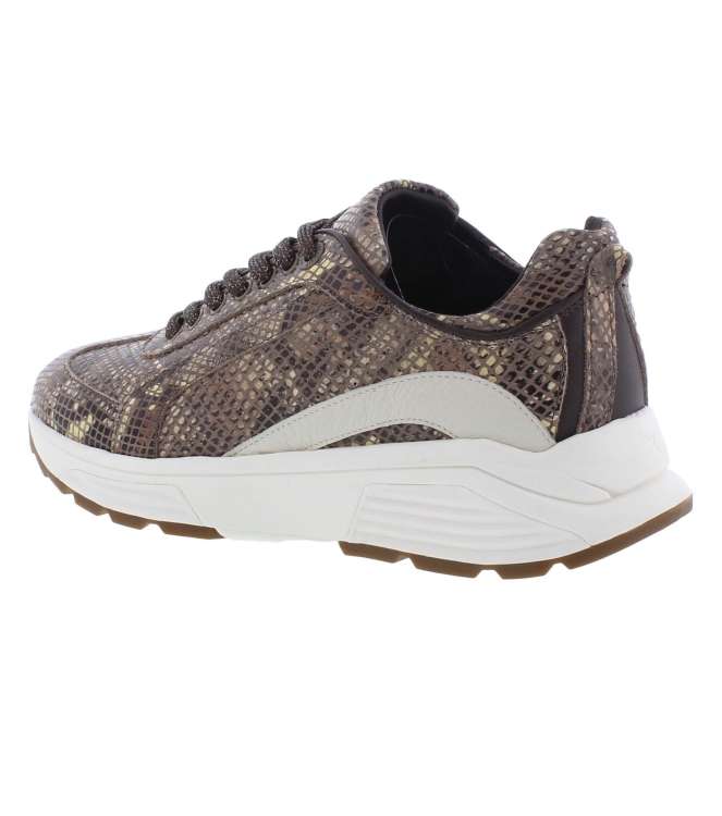 Xsensible 33013.4 Bailey bruin