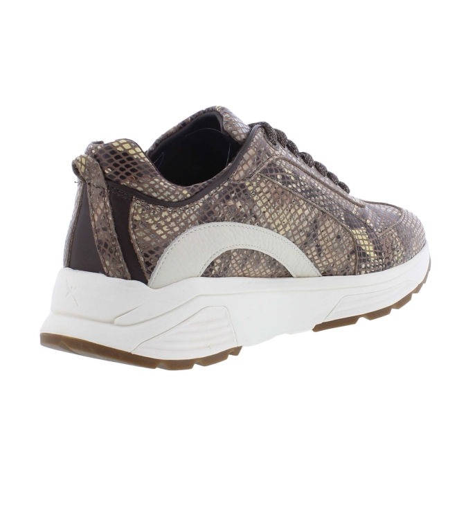 Xsensible 33013.4 Bailey bruin