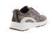 Xsensible 33013.4 Bailey bruin