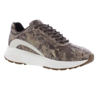 Xsensible 33013.4 Bailey bruin