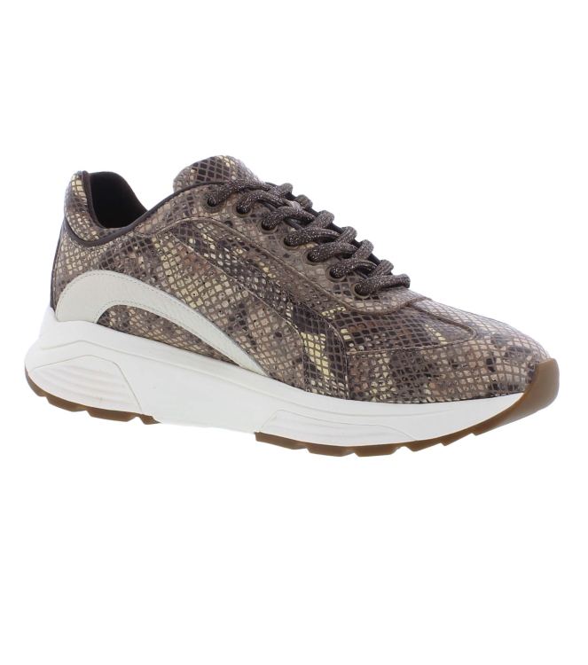 Xsensible 33013.4 Bailey bruin
