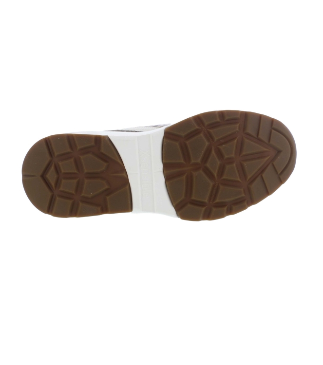 Xsensible 33013.4 Bailey bruin