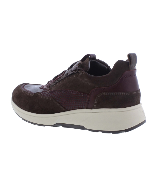 Xsensible 30215.3 Grenoble bruin