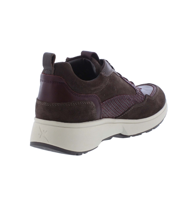 Xsensible 30215.3 Grenoble bruin