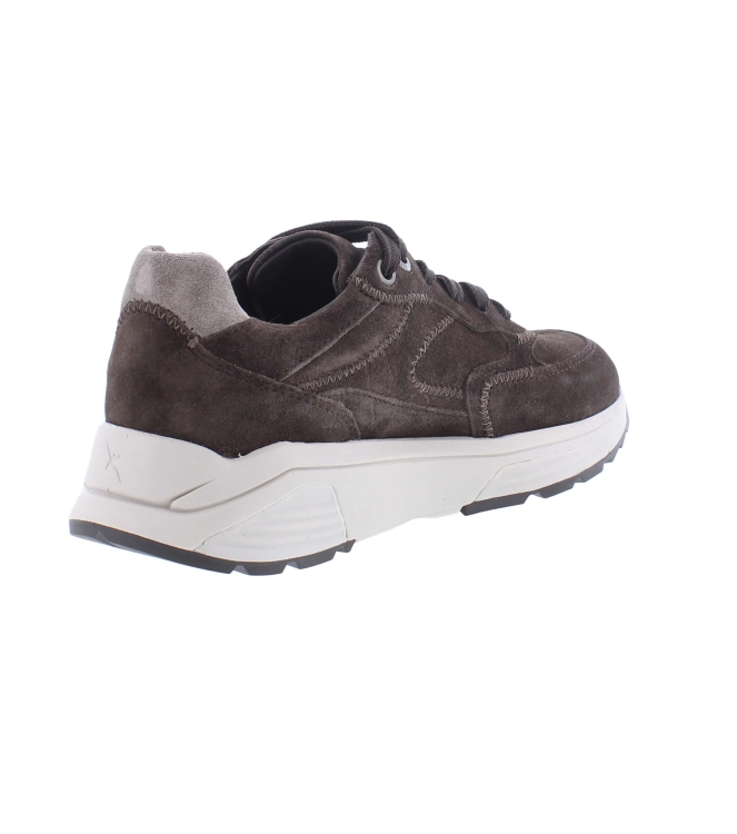 Xsensible 33002.4 Ponte Vecchio bruin
