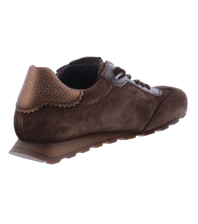 Hispanitas HI264964 C005 bruin