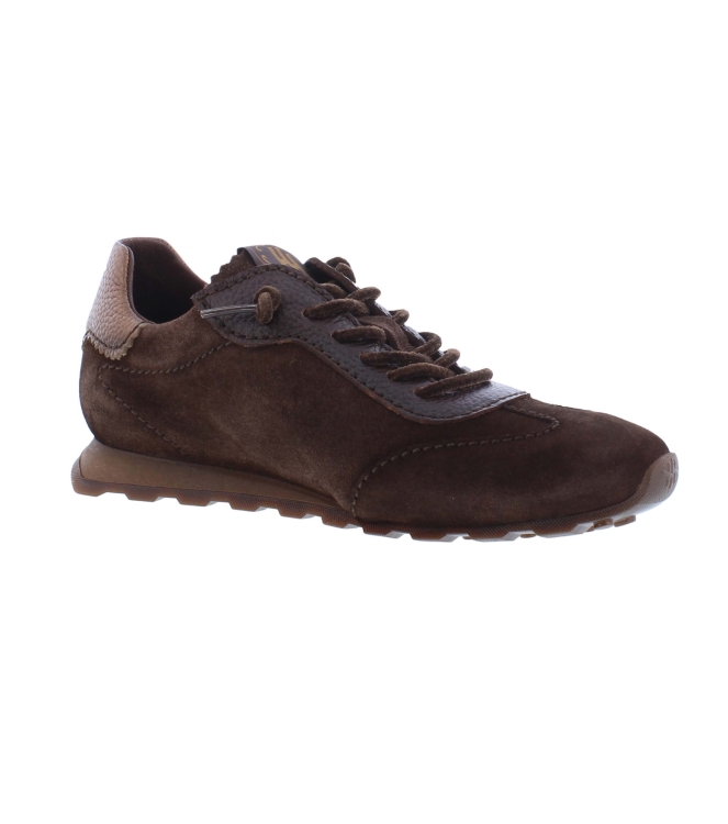 Hispanitas HI264964 C005 bruin