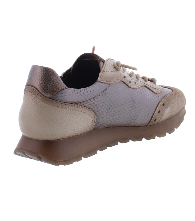 Hispanitas HI264955 C001 bruin