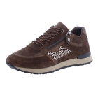 Helioform 286.002 bruin