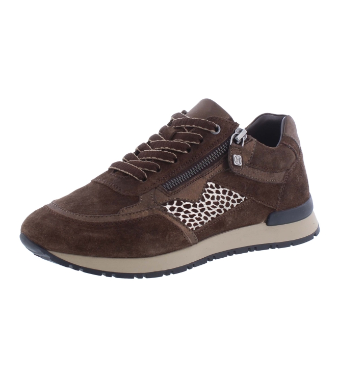 Helioform 286.002 bruin