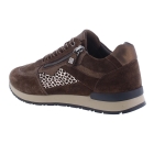 Helioform 286.002 bruin