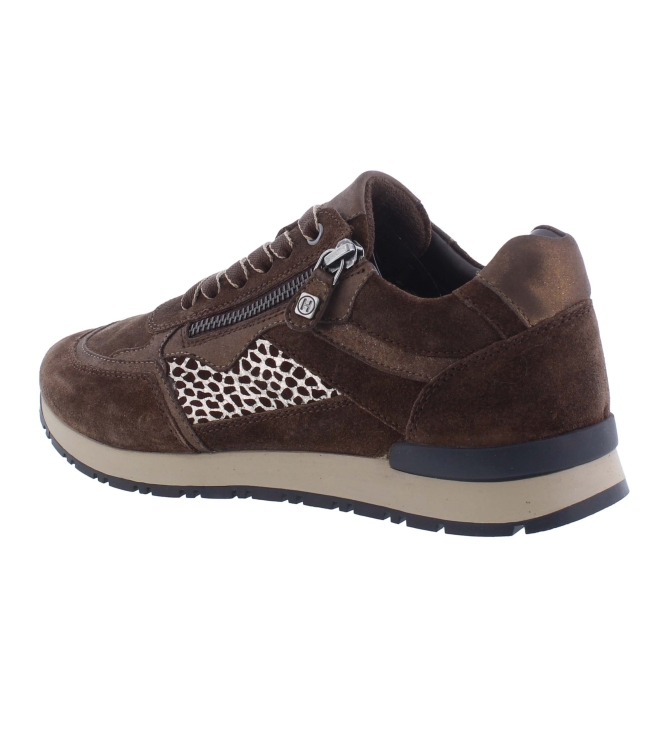 Helioform 286.002 bruin