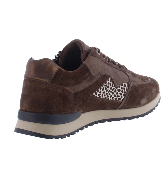 Helioform 286.002 bruin
