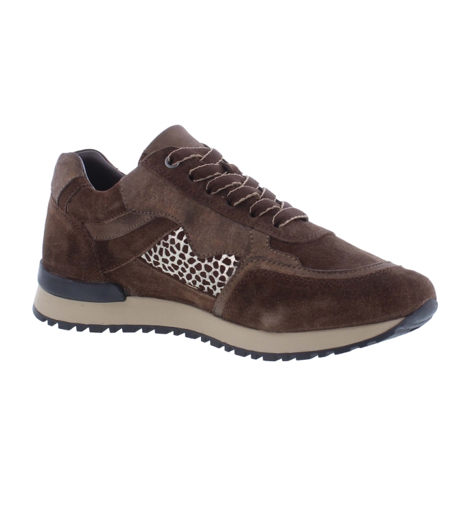 Helioform 286.002 bruin