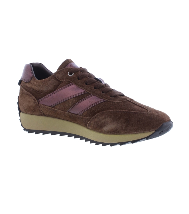 Helioform 272.002 bruin