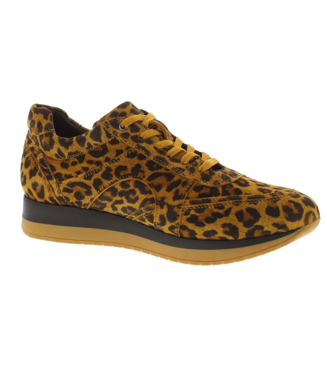 Helioform 253.027 bruin