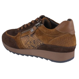 Helioform 243.010 bruin