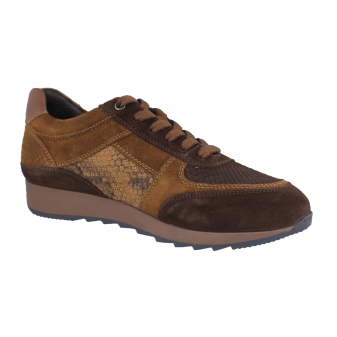 Helioform 243.010 bruin