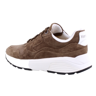 Xsensible 33000.2 Golden Gate bruin