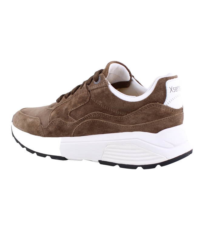 Xsensible 33000.2 Golden Gate bruin