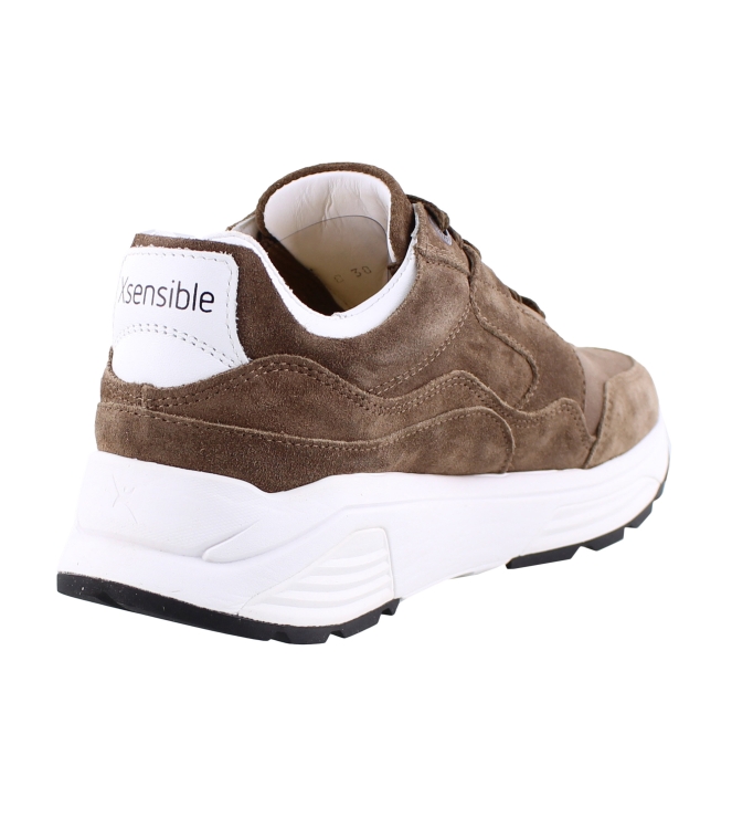 Xsensible 33000.2 Golden Gate bruin