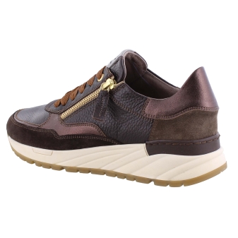 DL Sport 5849 bruin