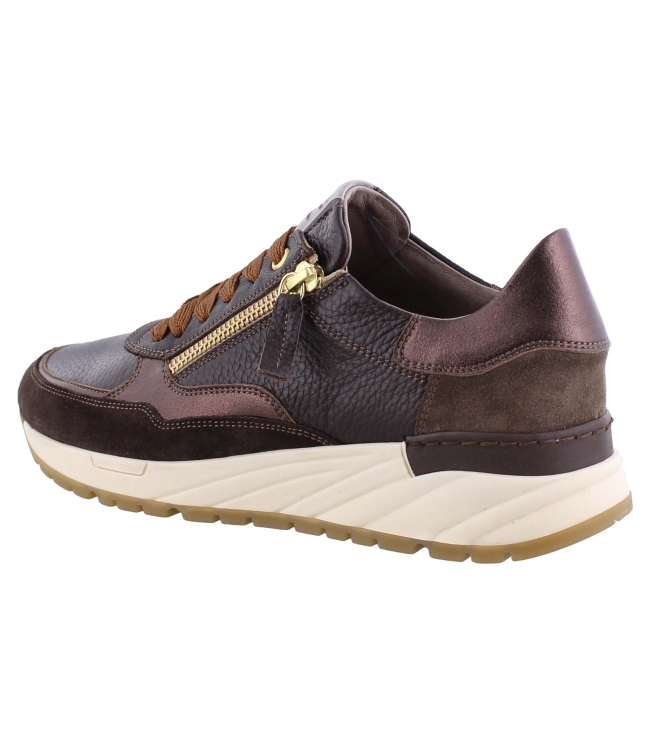 DL Sport 5849 bruin