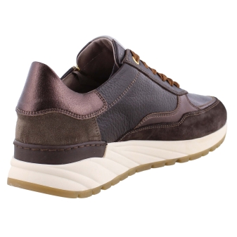 DL Sport 5849 bruin