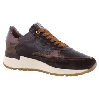 DL Sport 5849 bruin